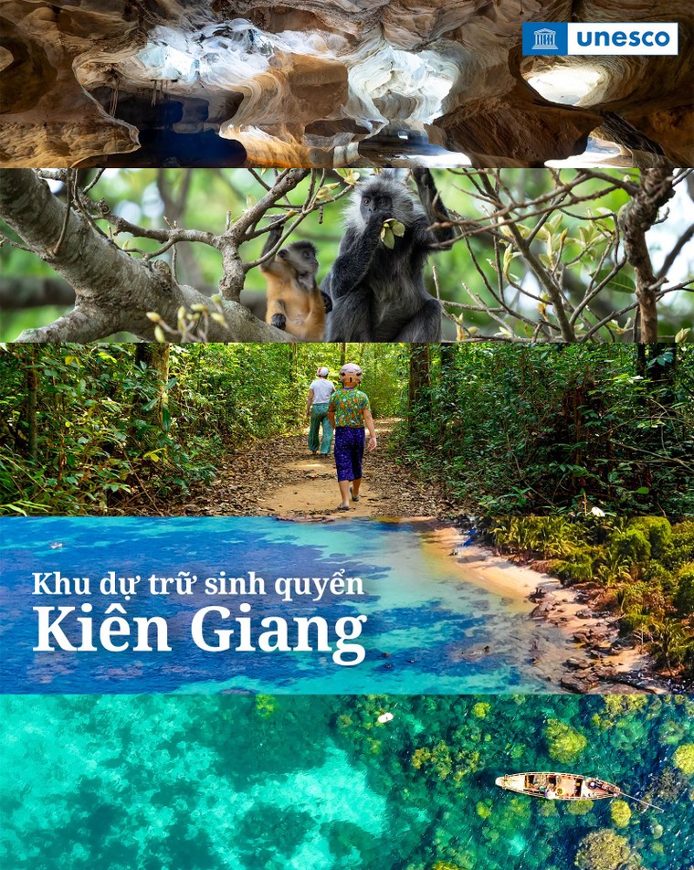 Khu dự trữ sinh quyển Kiên Giang - nơi dòng nước nối rừng tràm với rạn san hô ảnh 1