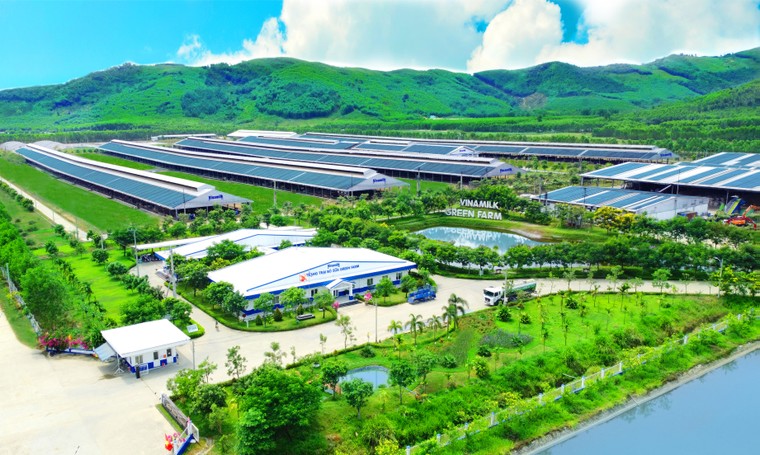 50 năm VINAMILK: "Đạt chuẩn" chưa phải là điểm dừng ảnh 2