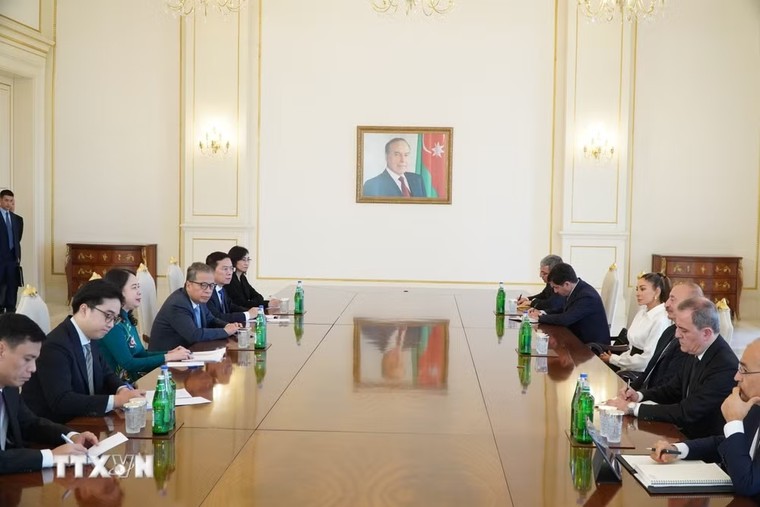 Phó Chủ tịch nước Võ Thị Ánh Xuân hội đàm với Tổng thống Azerbaijan Ilham Aliyev ảnh 1