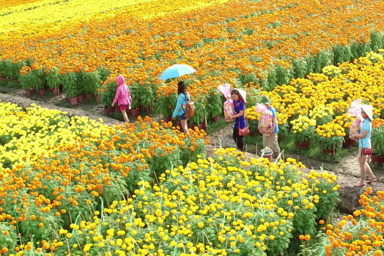 Đi để sẻ chia: Những điểm đến tại Việt Nam mà du lịch tạo sinh kế cho cộng đồng địa phương ảnh 3