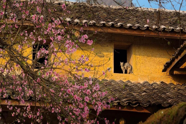 Đi để sẻ chia: Những điểm đến tại Việt Nam mà du lịch tạo sinh kế cho cộng đồng địa phương ảnh 5