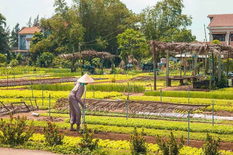 Đi để sẻ chia: Những điểm đến tại Việt Nam mà du lịch tạo sinh kế cho cộng đồng địa phương ảnh 2