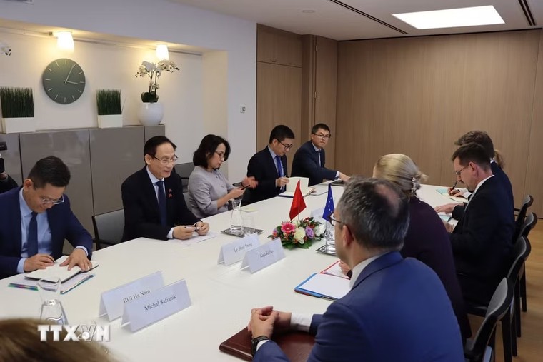 Bộ trưởng Lê Hoài Trung gặp Đại diện EU về chính sách đối ngoại và an ninh ảnh 2