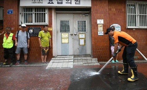 Nắng nóng kỷ lục ở Hàn Quốc khiến 28 người chết, trứng tự nở thành gà ảnh 2