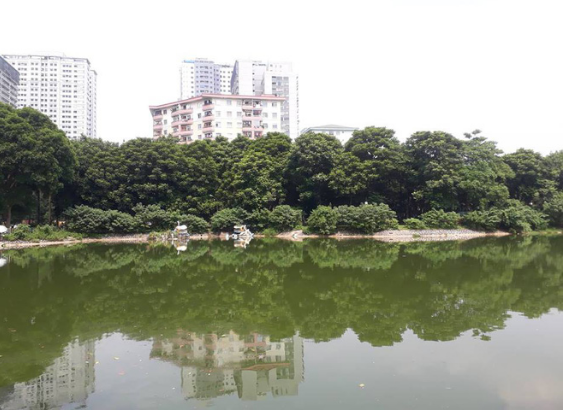 Hà Nội: Bé trai 5 tuổi bị rắn hổ cắn khi chơi trong công viên ảnh 1