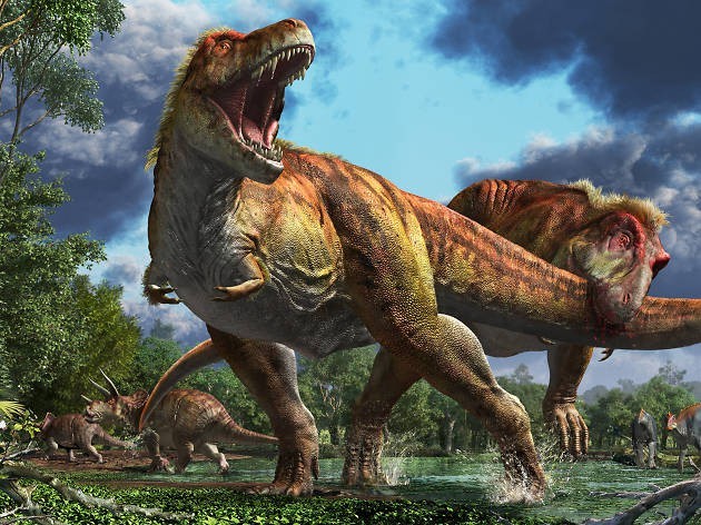 Côn trùng xuất hiện sau loài khủng long chỉ vài chục năm?