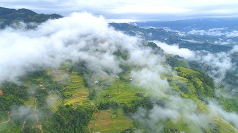 Bản Phùng mùa lúa chín ảnh 1