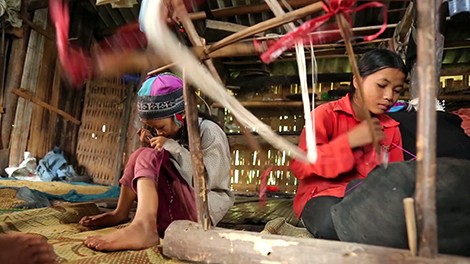 Bản Phùng mùa lúa chín ảnh 4