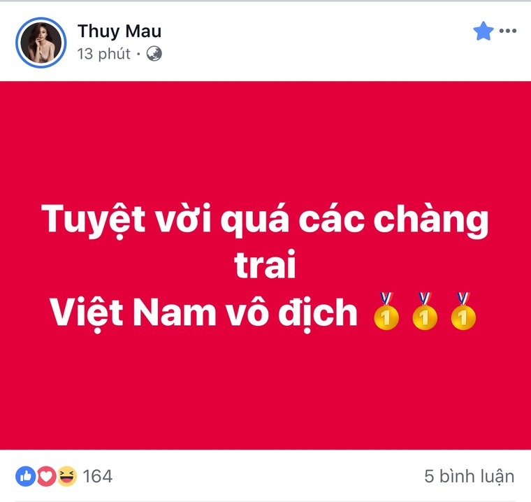 Sao Việt nhuộm đỏ mạng xã hội, tự hào hô vang 'Việt Nam vô địch' ảnh 2