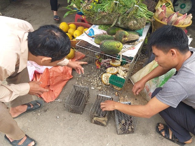 Thỏa thích khám phá các đặc sản vùng cao dọc quốc lộ 6 ảnh 3