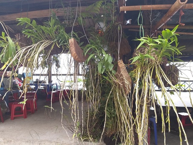 Thỏa thích khám phá các đặc sản vùng cao dọc quốc lộ 6 ảnh 4