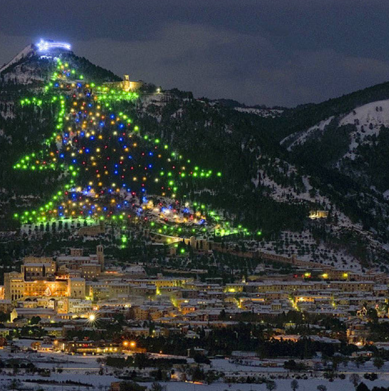 Chiêm ngưỡng những cây thông Noel độc, đẹp trên thế giới ảnh 8