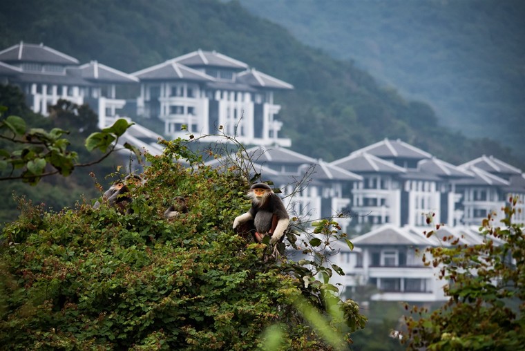 Tổng giám đốc 'Khu nghỉ dưỡng thân thiện với môi trường nhất thế giới 2018' chia sẻ những kế hoạch xanh ảnh 4