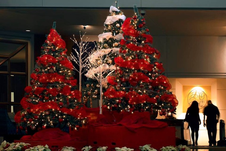 ‘Đổi gió’ cho ngày đông với kì nghỉ ngập nắngở bãi biển nhiệt đới ảnh 1