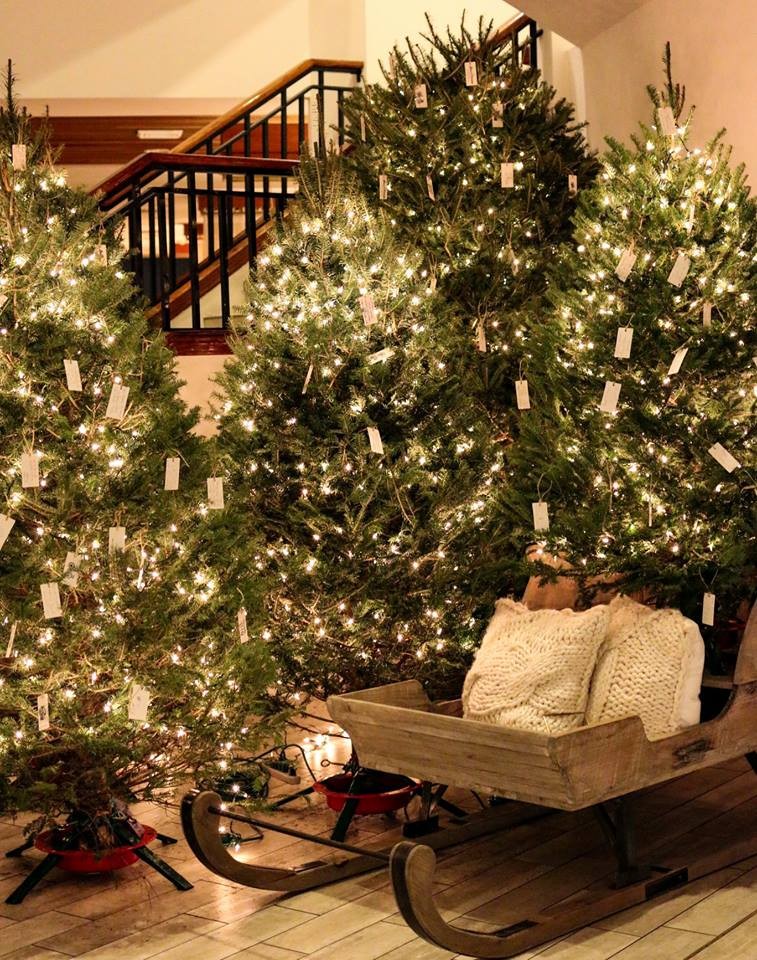 ‘Đổi gió’ cho ngày đông với kì nghỉ ngập nắngở bãi biển nhiệt đới ảnh 6