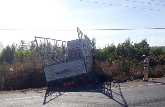 Va chạm với xe tải, 3 chị em trong một gia đình tử vong ảnh 1