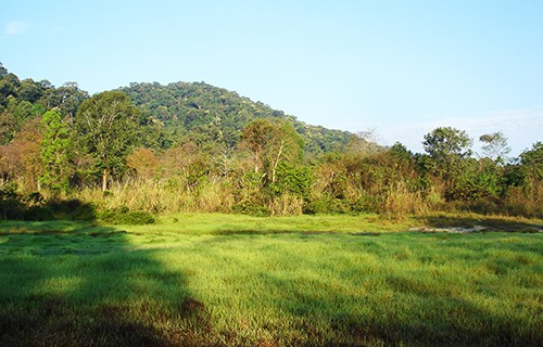 Vườn Quốc gia Chư Mom Ray: Tiềm năng và định hướng phát triển du lịch sinh thái ảnh 1