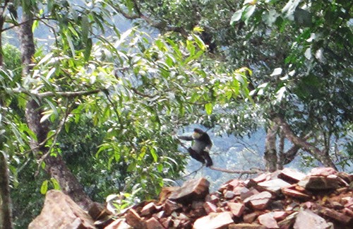 Vườn Quốc gia Chư Mom Ray: Tiềm năng và định hướng phát triển du lịch sinh thái ảnh 4