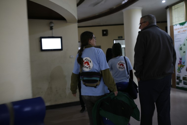 Hình ảnh gấu ngựa con ngày đầu tiên tại Cơ sở bảo tồn gấu Ninh Bình ảnh 2