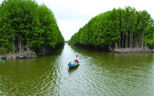 Phía Bắc Cà Mau giáp với tỉnh nào?