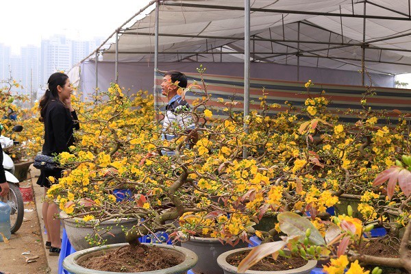 Dự báo thời tiết 3/2: Miền Bắc có nơi nóng 30 độ như mùa hè ảnh 1