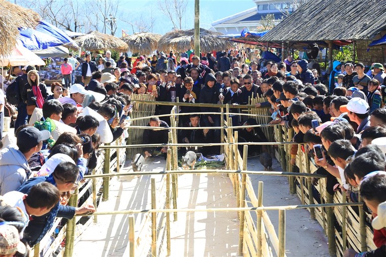Du khách phấn khích đổ về Fansipan ngắm băng giá, chiêm bái xá lợi Phật ​ ảnh 4