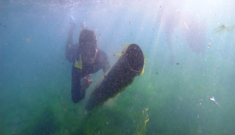 Lặn vớt rác biển ven bờ đảo Lý Sơn ảnh 4