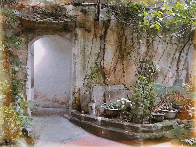 Lưu giữ khoảnh khắc Hà Nội bằng chiếc máy phim ảnh 5