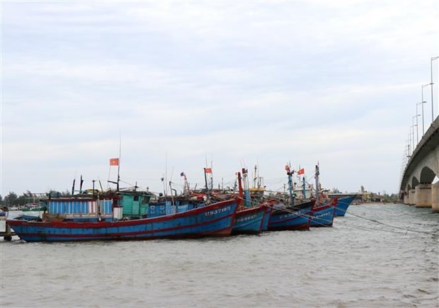 Gia tăng hợp tác, phối hợp xử lý các thách thức trên biển ảnh 1