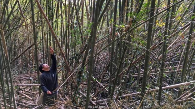 Bí mật 750 năm nước tương thủ công Nhật Bản ảnh 10