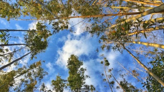 Bí mật 750 năm nước tương thủ công Nhật Bản ảnh 4