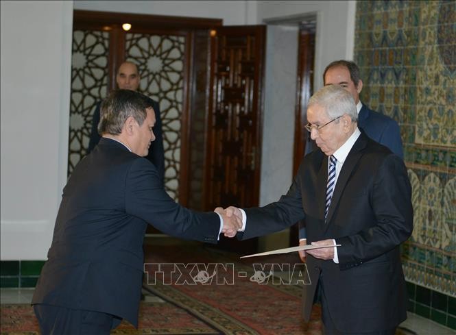 Tổng thống Algeria mong muốn thúc đẩy quan hệ với Việt Nam ảnh 2
