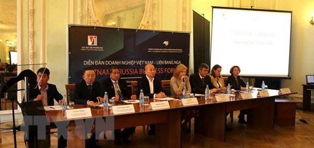 Doanh nghiệp Việt Nam mở rộng thị trường tại Liên bang Nga ảnh 1