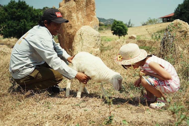 Ninh Thuận: Một trung tâm du lịch mới đang hình thành ảnh 1