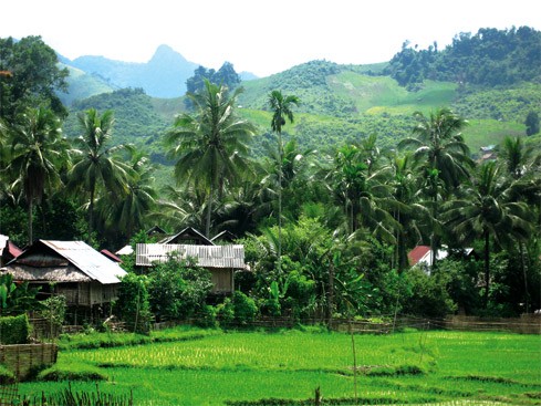 Tương Dương nằm ở phía nào của Nghệ An?