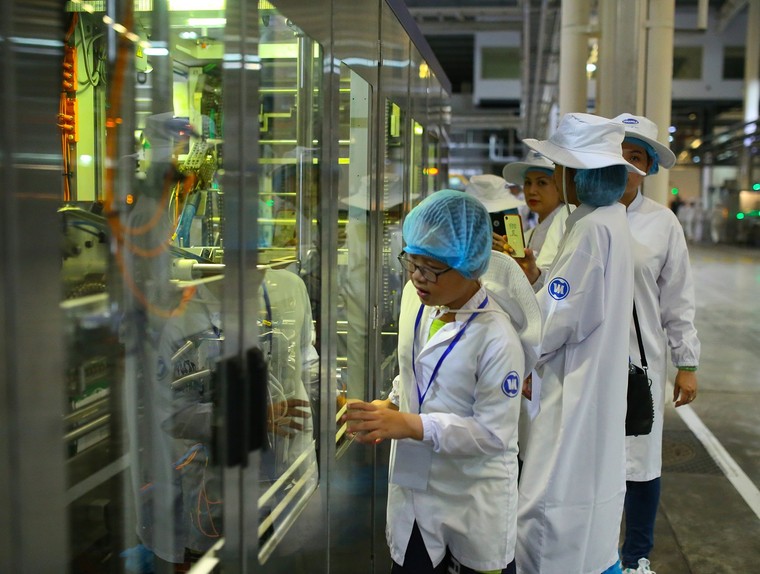 Học sinh hào hứng tự 'khám phá' hành trình sữa học đường Vinamilk ảnh 7