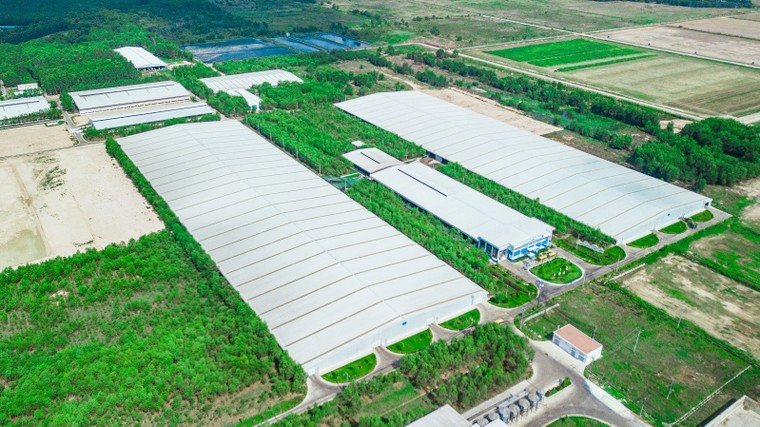 Học sinh hào hứng tự 'khám phá' hành trình sữa học đường Vinamilk ảnh 1