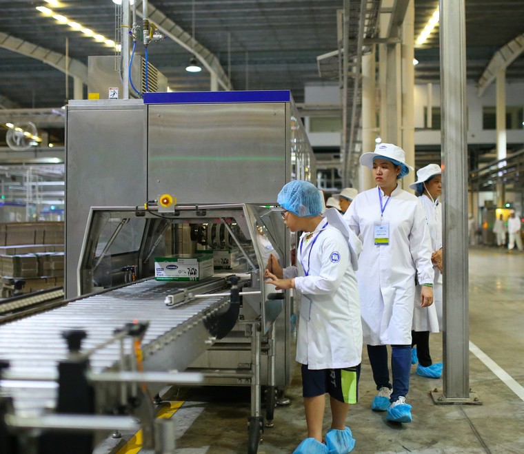 Học sinh hào hứng tự 'khám phá' hành trình sữa học đường Vinamilk ảnh 5