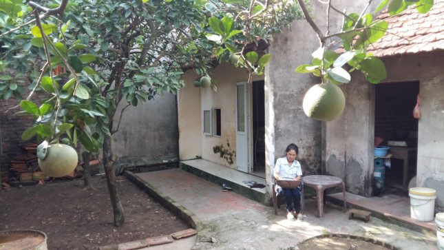 'Sống kiểu nào cũng phải hạnh phúc' ảnh 1