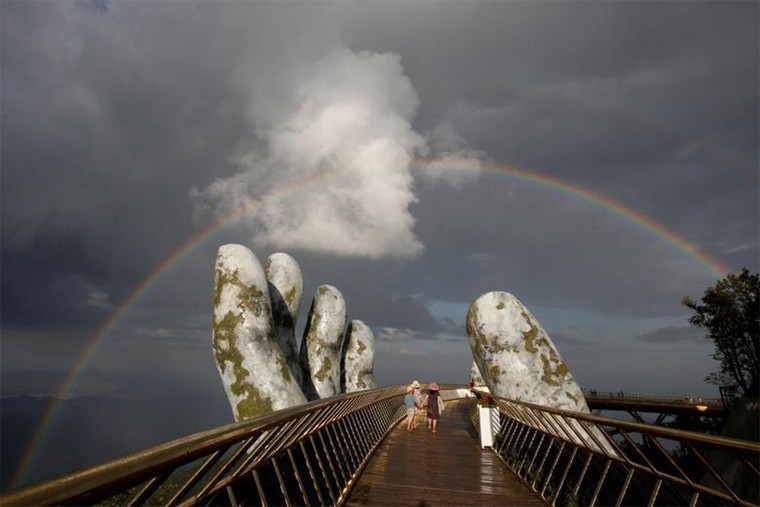 Mặt cầu được thiết kế chủ yếu từ gỗ gì?