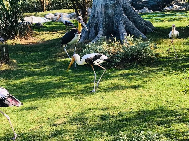 Tour 'honey moon' Quy Nhơn - Phú Yên - Đà Lạt đầy ngọt ngào của cặp đôi 9x ảnh 8