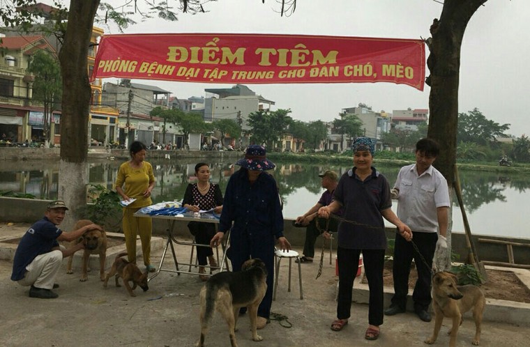 54 người chết vì bệnh dại trong 9 tháng đầu năm ảnh 1