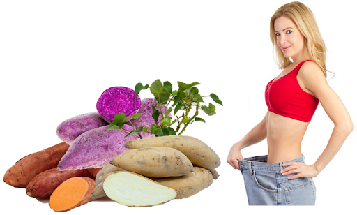 Khoai lang giúp giảm cân đúng hay sai?