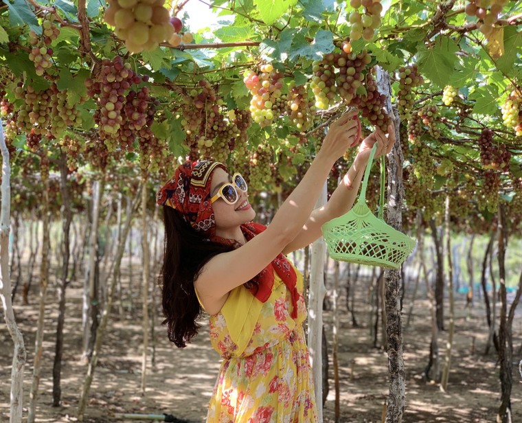 Tôn vinh và quảng bá văn hóa, du lịch Ninh Thuận tại Hà Nội ảnh 3