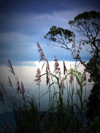 Đèo Long Lanh là con đèo dài nhất Việt Nam đúng hay sai?