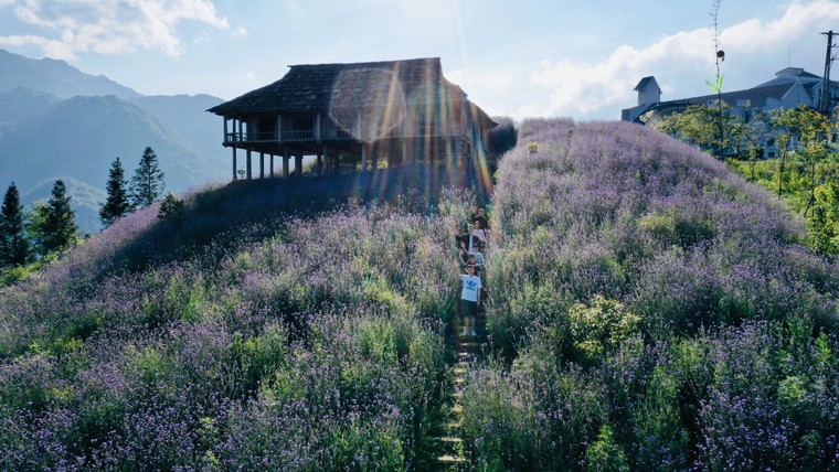 Khám phá chuyến du lịch Sa Pa sang xịn mịn không tốn mấy xu ảnh 3