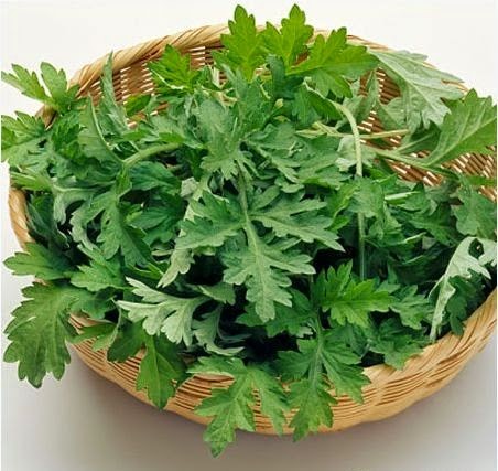 Rau ngải cứu có thể chữa được bệnh nào sau đây?