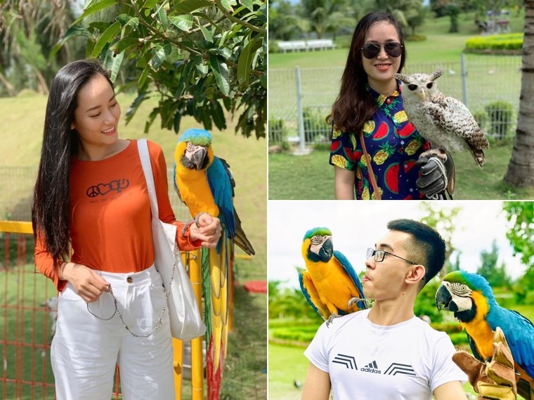 FLC Zoo Safari Park Quy Nhơn - Điểm đến không thể bỏ lỡ trong hành trình khám phá 'xứ Nẫu' ảnh 4