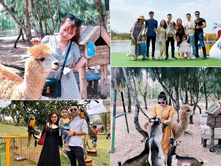 FLC Zoo Safari Park Quy Nhơn - Điểm đến không thể bỏ lỡ trong hành trình khám phá 'xứ Nẫu' ảnh 8
