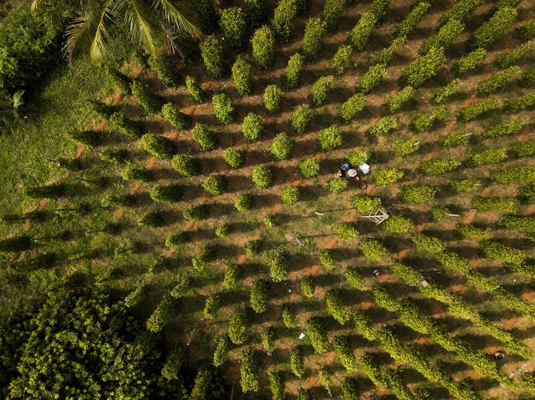 Phải đi Phú Quốc ngay bây giờ và đây là lý do ảnh 7